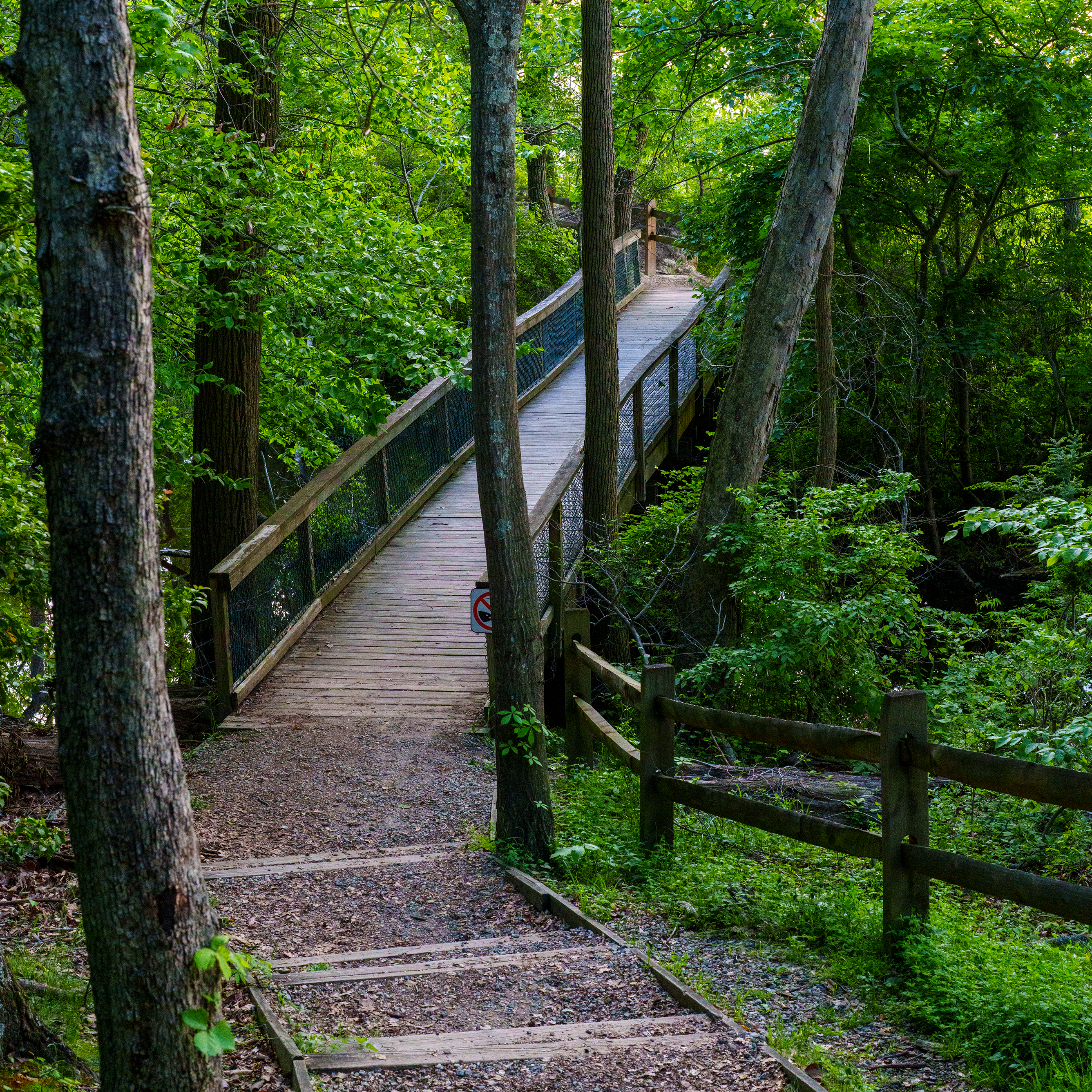 Hiking trail